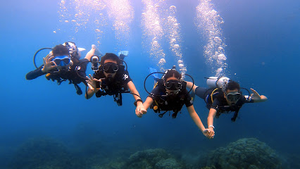 Diving Koh Tao | Scuba Birds PADI Dive Center thumb 3
